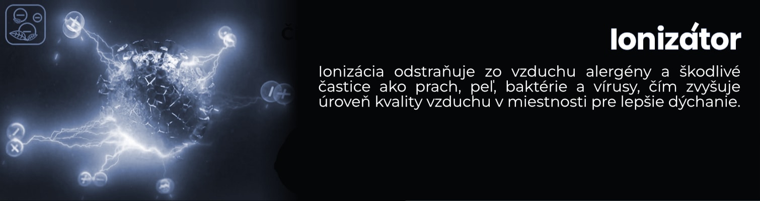 Ionizator